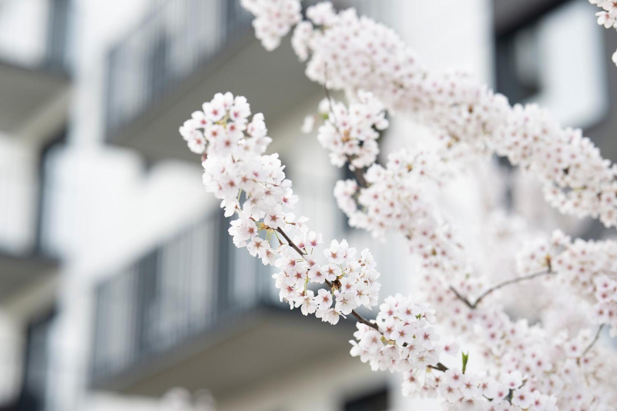 Apartamenty Deluxe グダニスク エクステリア 写真